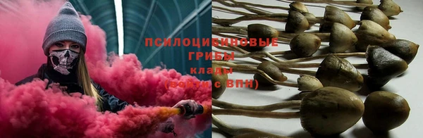 амф Алзамай
