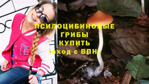 стаф Абдулино
