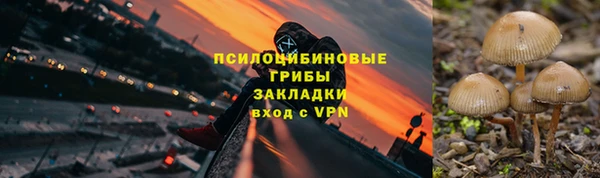 амф Абинск