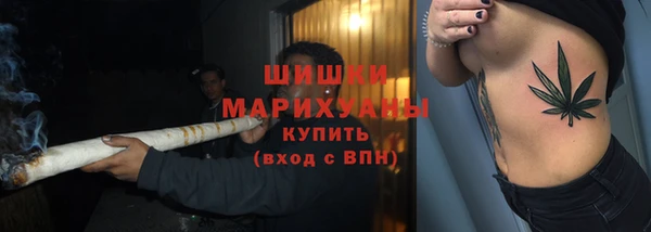 амф Алзамай