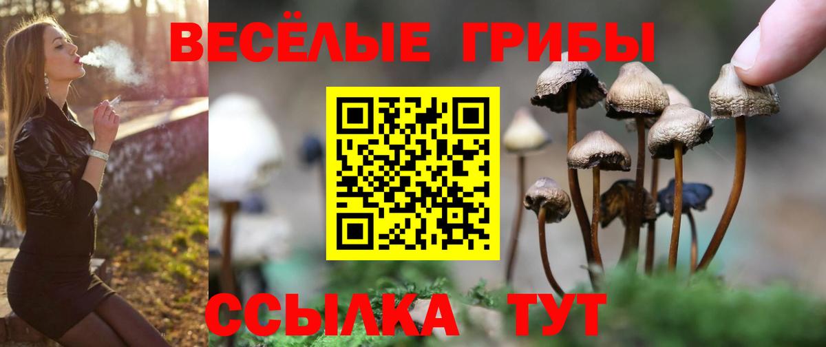 Вейп ТГК  Амфетамин   Канабис  Казань  ГАШ  NBOMe  Меф МЯУ МЯУ   Вход с VPN 